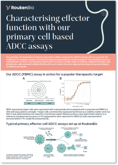 RoukenBio - ADCC assay Antibody effector function
