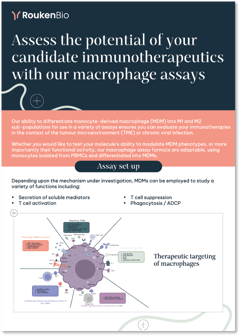 RoukenBio - Macrophage assays