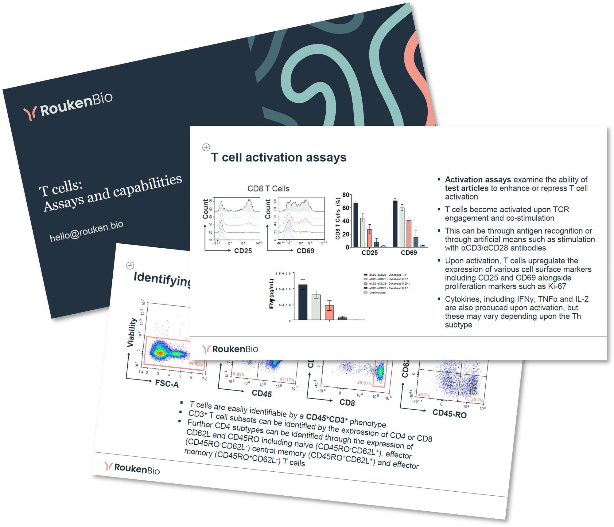 T cell immunology assay development services RoukenBio T cell immunology assay development services RoukenBio